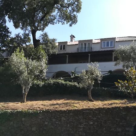 Casa Ribeira De Pera Villa Castanheira de Pera Ngoại thất bức ảnh